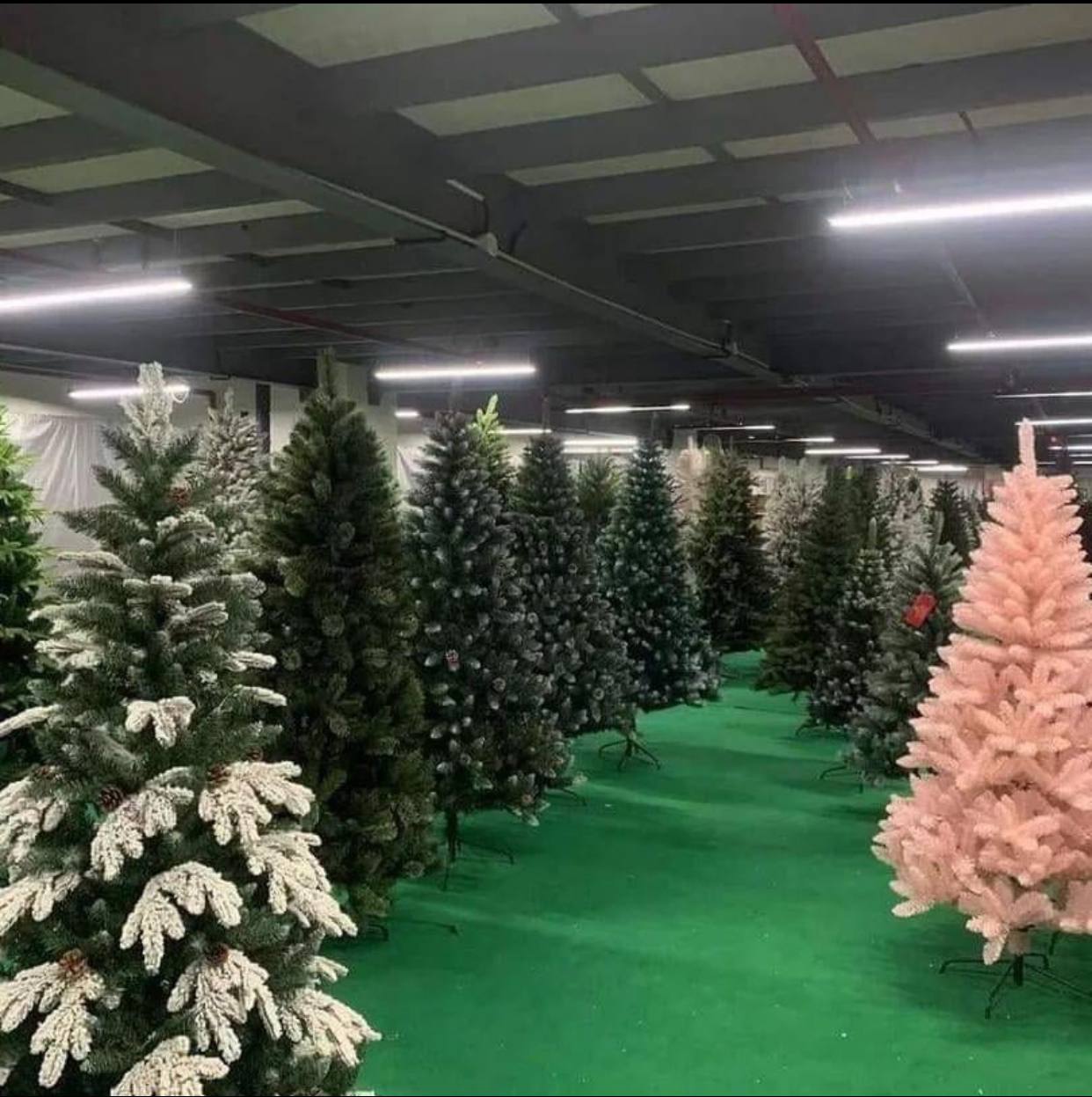 Buy Christmas Tree Liquidation Pallets